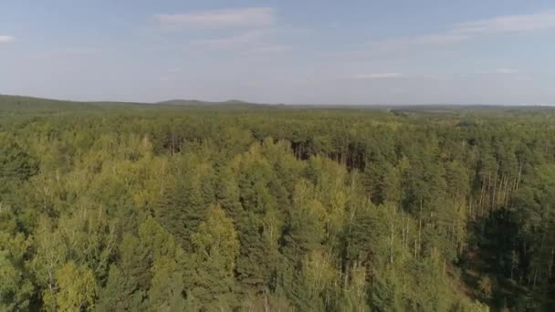 Flygfoto Över Höstskogen Några Moln Himlen Träden Olika Färger Flygfoto — Stockvideo
