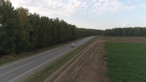 Flygfoto Över Den Vita Bröllopsbilen Rider Vägen Sommar Kväll Ena — Stockvideo