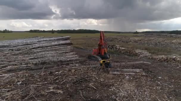 Εναέρια Άποψη Harvester Κοπή Δέντρο Trunk Στο Πεδίο Κοντά Στο — Αρχείο Βίντεο