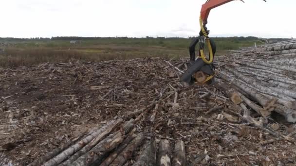 Vista Aérea Cosechadora Cortando Tronco Árbol Campo Cerca Del Bosque — Vídeos de Stock