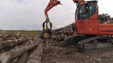- 20. Ormanın yakınındaki tarlada hasat kesen ağaç gövdesi. Orman ve kereste endüstrisi. Hasat makinesinde çam ağaçlarının arkasında ağaç keserken çekilmiş. Kamera hasatçıya yaklaşıyor.