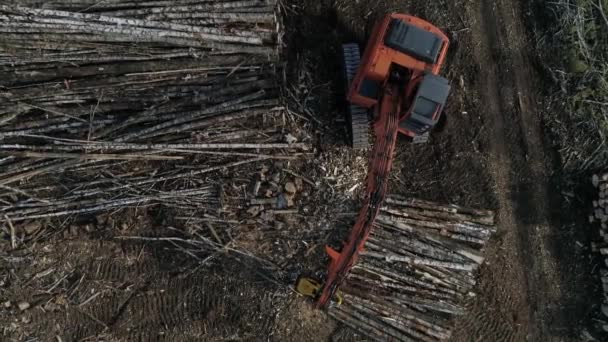 Överst Sidan Flygfoto Skördare Skär Trädstam Fält Nära Skogen Skogs — Stockvideo