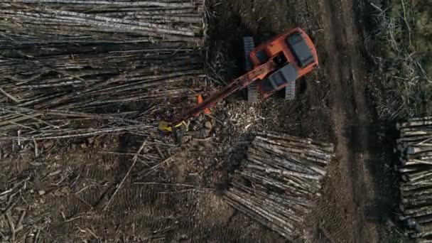 Сверху Вниз Вид Воздуха Harvester Cutting Tree Trunk Поле Возле — стоковое видео
