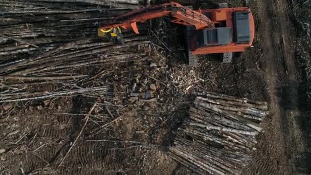 Top Aerial View Harvester Cutting Tree Trunk Field Forest Forestry — Stock Video