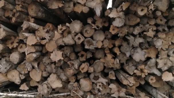 Grumes d'arbre empilées dans la pile. Bois de construction. Bois qui sera transformé en poutres et planches, une étape dans le processus de production du bois .