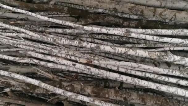 ツリーログの空中ビュー杭に積み込まれました ルマー 木材生産の過程における段階である梁や板に加工される木材 — ストック動画