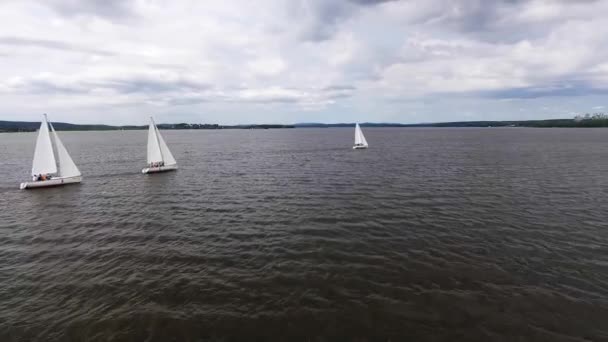 Yarış Şehir Göletindeki Yelkenli Yatlarının Havadan Görünüşü Yaz Güneşli Bir — Stok video
