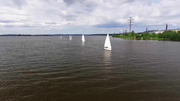 Regata Veduta Aerea Barche Vela Uno Stagno Della Città Con — Video Stock