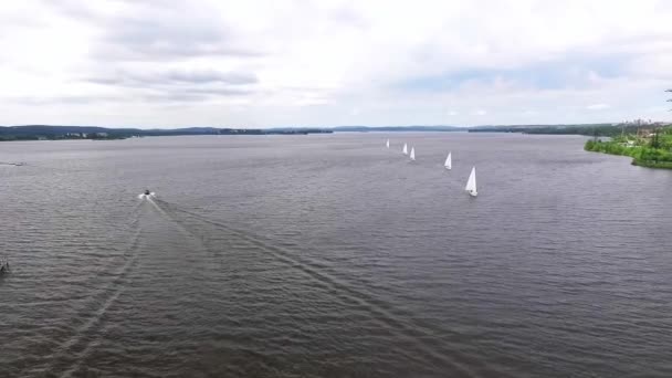 Regatta Aerial View Group Sailing Yachts City Pond Motorboat Sailing — Stock Video