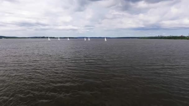 Regatta Aerial View Sailing Yachts City Pond Summer Sunny Day — Stock Video