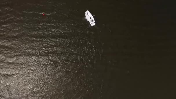 池の上のヨットのセーリングの空中ビューのトップダウン — ストック動画