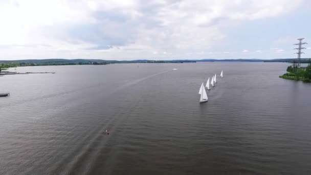 Yarış Şehir Göletinde Arka Planda Şehir Olan Bir Grup Yelkenli — Stok video