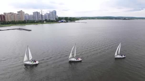 25歳 レガッタ 背景に都市と都市の池にヨットをセーリングの空中ビュー 夏は晴れ — ストック動画