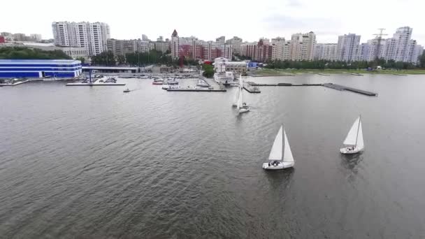 Regatta Letecký Pohled Jachty Plachtění Městském Rybníku Městem Pozadí Léto — Stock video