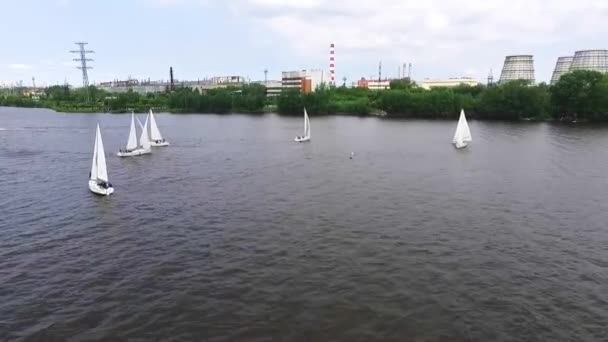 工業景観と都市の池でヨットやウィンドサーファーセーリングの空中ビュー 夏の晴れた日 — ストック動画