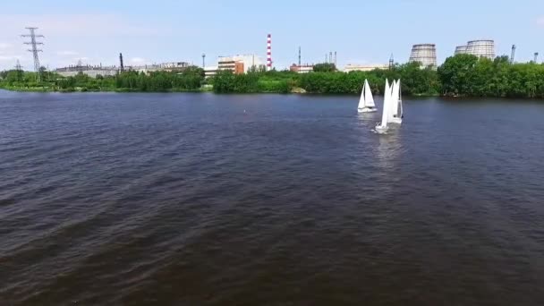 34歳 レガッタ 工業景観と都市の池でヨットをセーリングの空中ビュー 夏曇りの日 — ストック動画