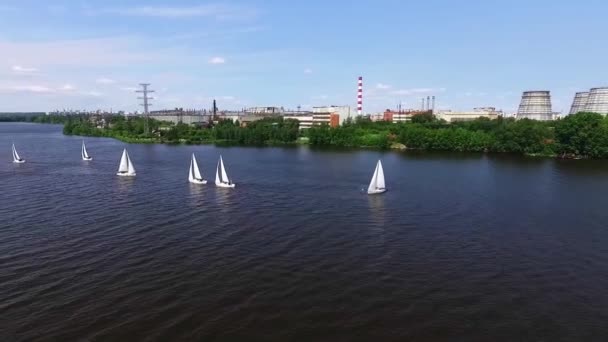 Regatta Letecký Pohled Jachty Plachtění Městském Rybníku Průmyslovou Krajinou — Stock video