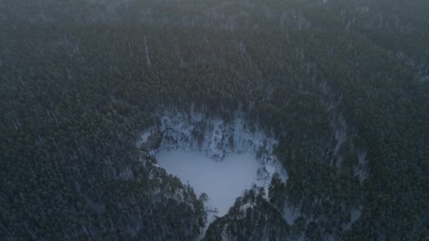 洪水の心臓のようなタルク採石場 タルク石 の森の中では シュテルト市の近く ロシア スヴェルドロフスク地方 — ストック動画