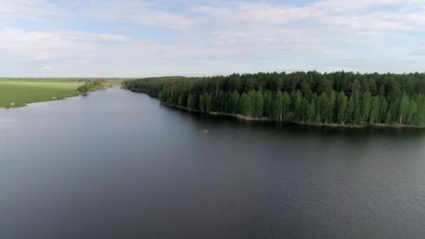 Vista Aerea Del Lago Circondato Una Foresta Due Pescatori Una — Video Stock