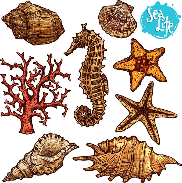 Hand Drawn Sea Set Royalty Free Stock Vectors