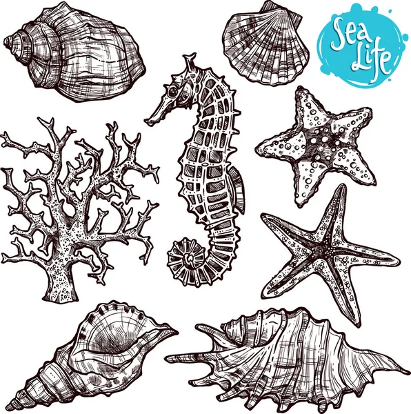Hand Drawn Sea Set Stock Vector
