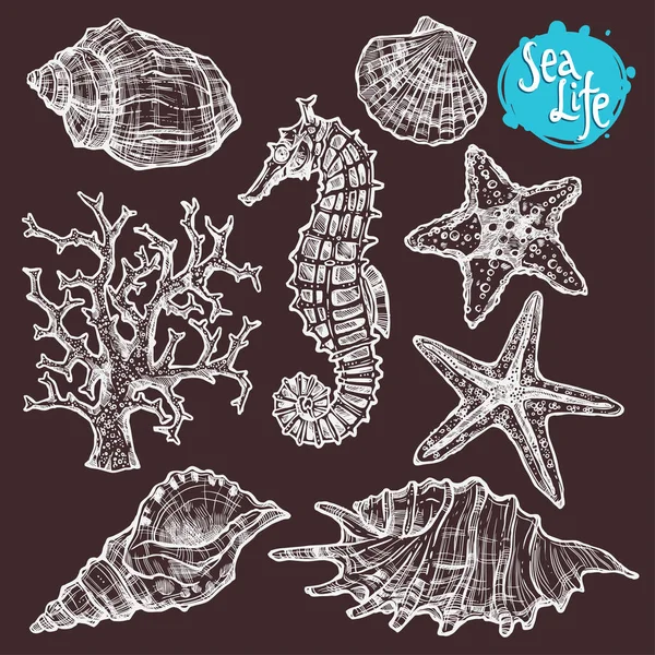 Hand Drawn Sea Set Royalty Free Stock Vectors