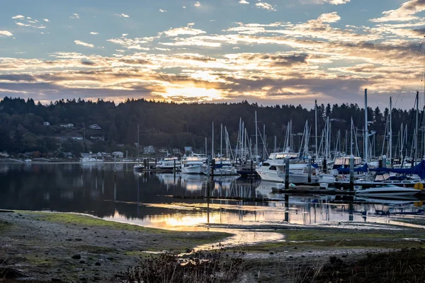 Harbor under sunrise — Stock Photo, Image