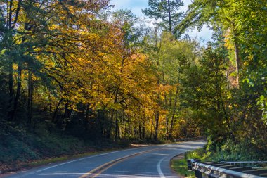 yeşillik yolu üzerinden düşmek
