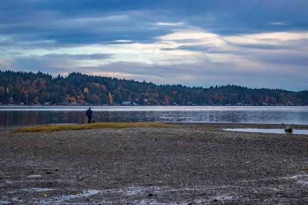 Man går hund på hösten shore — Stockfoto