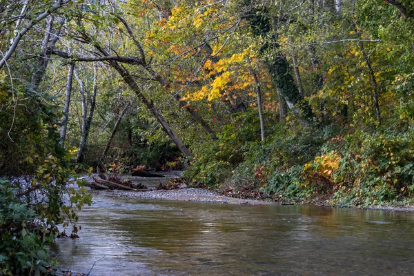 sonbahar yaprakları Nehri üzerinde