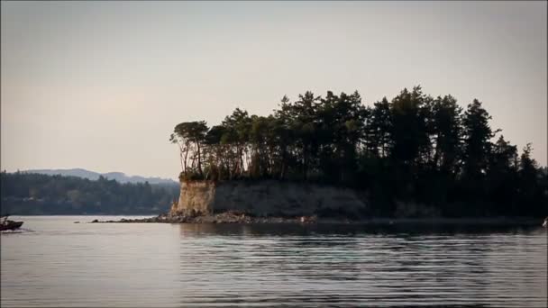 Kleine boot vaart opwaarts naar een beboste eiland — Stockvideo