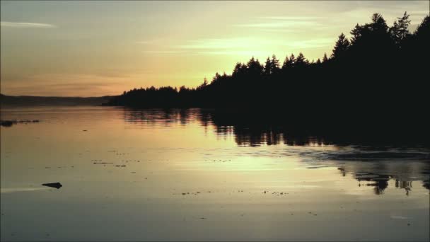 Stones thrown in sunset waters — Stock Video