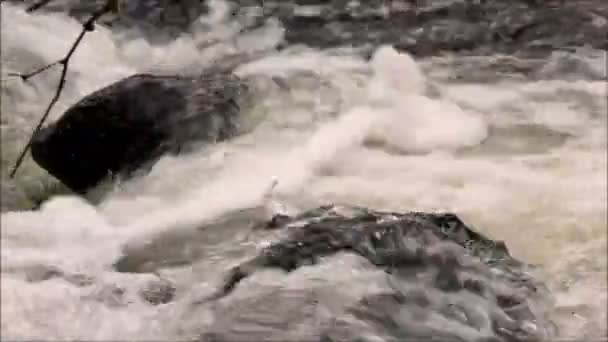 Water lopen over rotsen in de rivier — Stockvideo