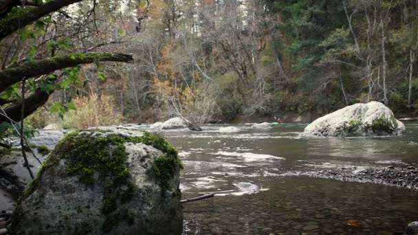 Два каяки пливуть по річці 2 — стокове відео
