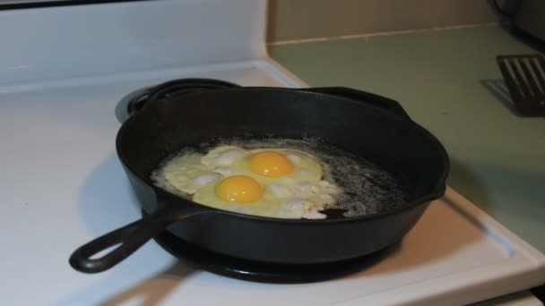Ραντίζοντάς τα αυγά σε τηγάνι με καρυκεύματα — Αρχείο Βίντεο