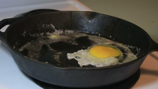 Rachando ovos em panela quente — Vídeo de Stock