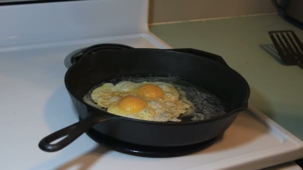 Ovos fortemente temperados fritando em panela — Vídeo de Stock