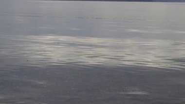 sabah erken su ve midye kabarcıkları