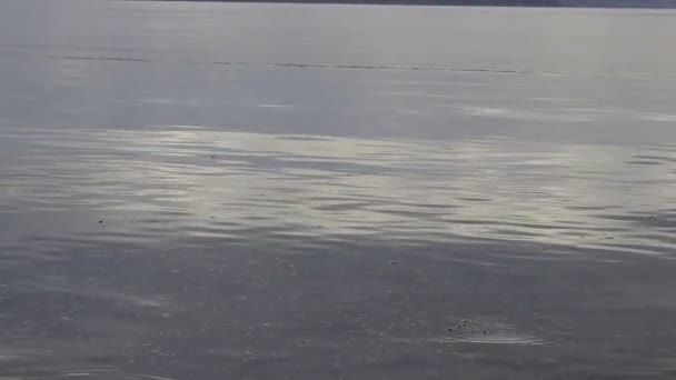 Agua de la mañana temprano y burbujas de almejas — Vídeo de stock