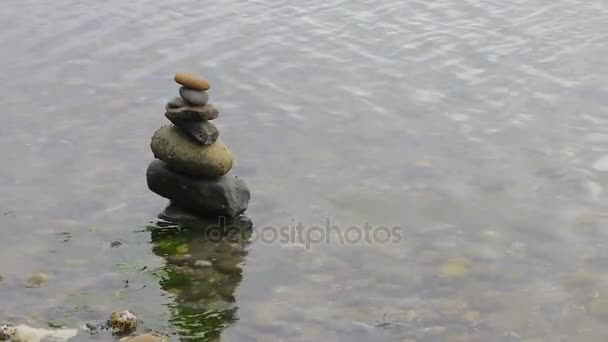 Algas torre de piedra y agua — Vídeos de Stock