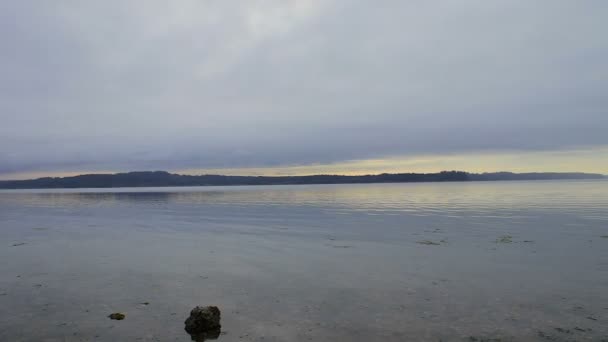 Panoramique juste au-dessus du rivage matin — Video