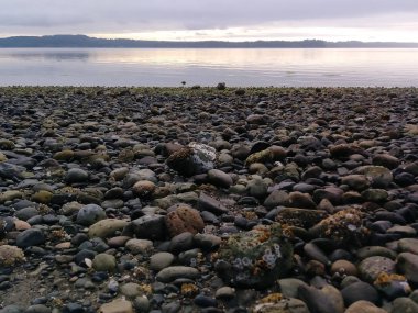 sabah ışık ile taş kıyı