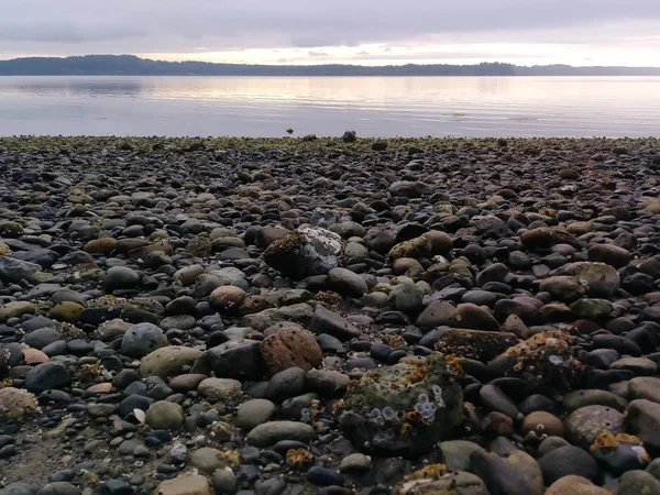 sabah ışık ile taş kıyı