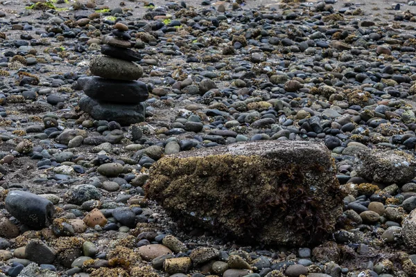 Rocas formadas en torre a lo largo de una línea costera — Foto de Stock