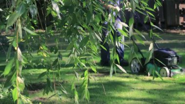 dalları arkasında ekran dışında biçme