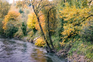 Parlak ormandaki karanlık Nehri