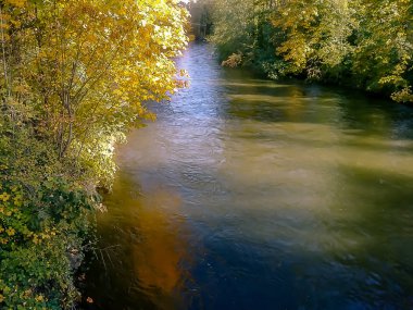 fall river altın kaplı