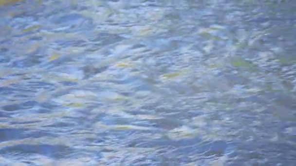 Herfst Kleur Weerspiegeld Rivierwater — Stockvideo