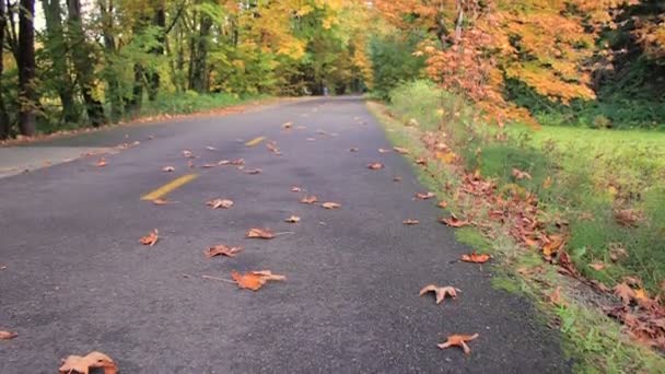 Sturz Radweg Aufgeweicht — Stockvideo