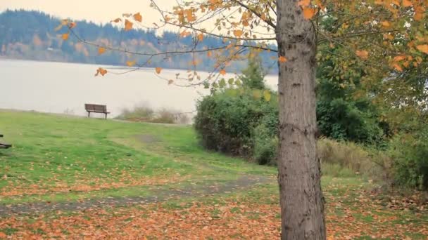 Puget Sound Zobrazení Lavička Podzim — Stock video